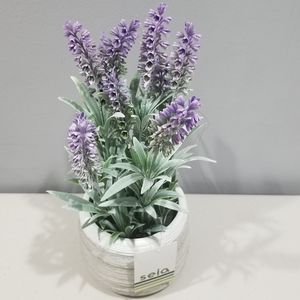 Lavender Pot